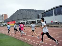 镜报：阿森纳曾接近签下穆阿尼，但因无法保证其出场时间而错过